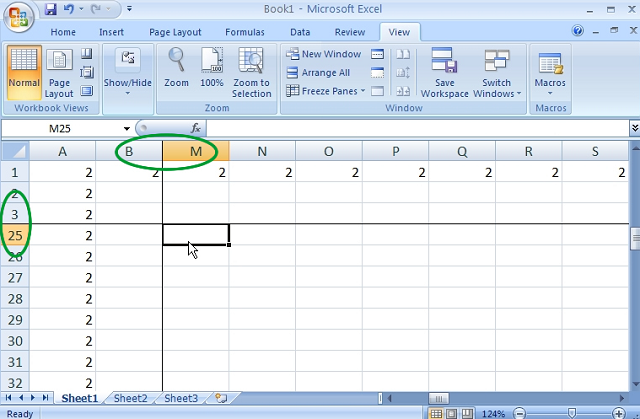 Excel paneles fijados